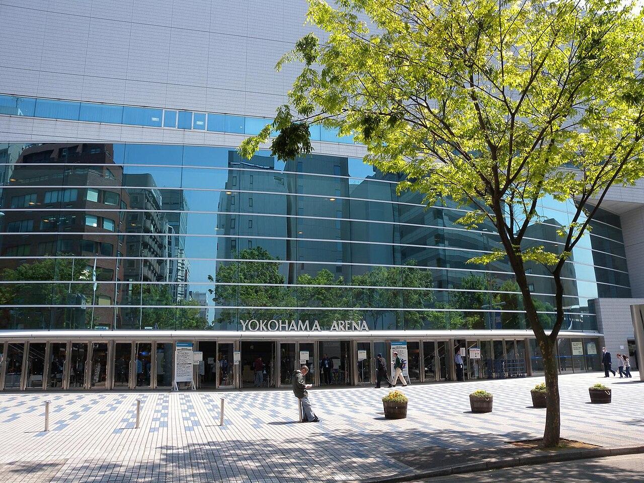 乒乓球人物：一位顶尖选手的进阶之路